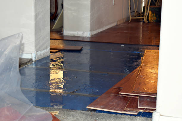 Professional Burst Pipe Cleanup technician working in Detroit Lakes, MN